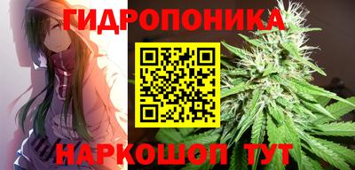 твердый Ярославль
